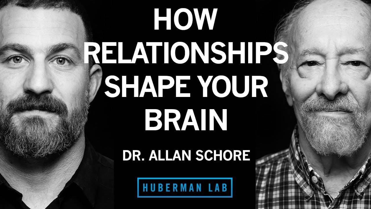 How Relationships Shape Your Brain
